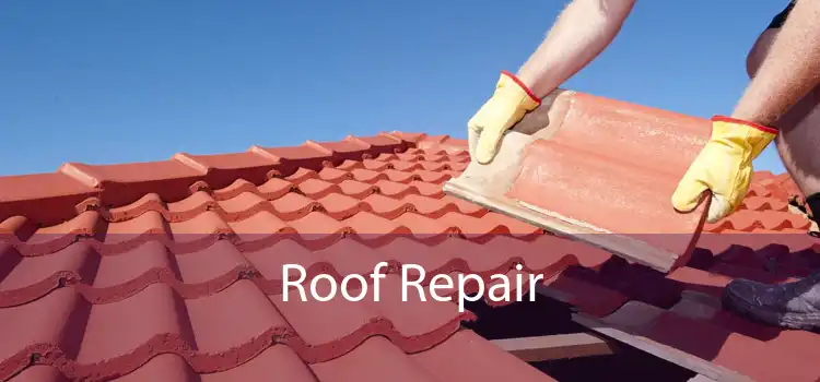 Roof Repair 